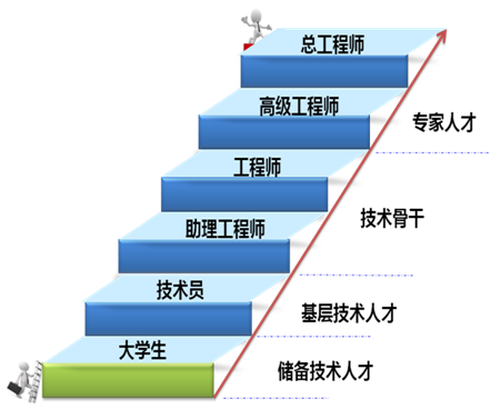 发展,晋升通道体系图